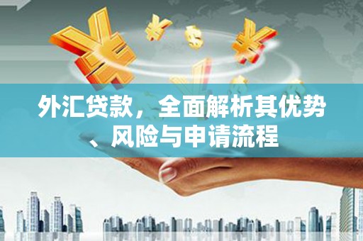 铁东外汇贷款，全面解析其优势、风险与申请流程