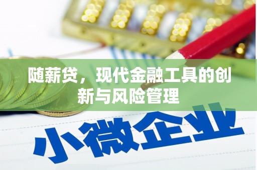 铁东随薪贷，现代金融工具的创新与风险管理