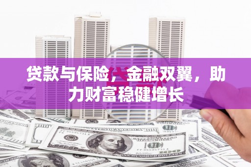 铁东贷款与保险，金融双翼，助力财富稳健增长
