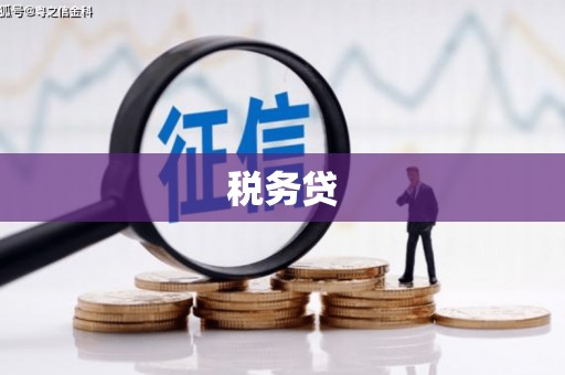 铁东税务贷