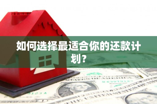 铁东如何选择最适合你的还款计划？