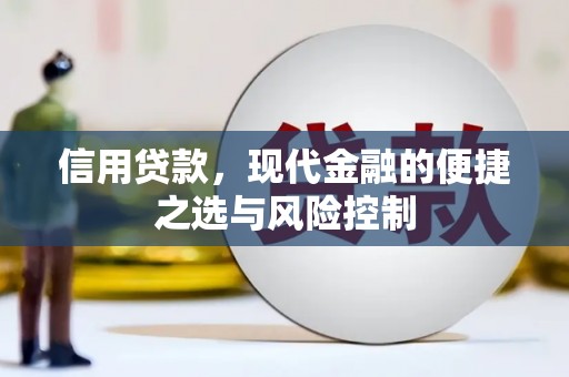 铁东信用贷款，现代金融的便捷之选与风险控制