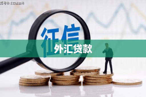 铁东外汇贷款