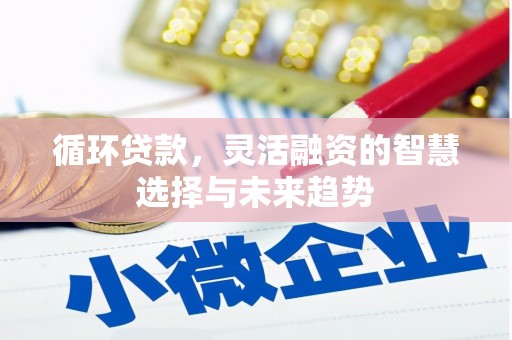 铁东循环贷款，灵活融资的智慧选择与未来趋势
