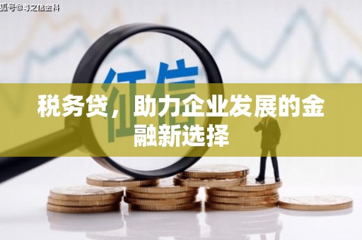 铁东税务贷，助力企业发展的金融新选择