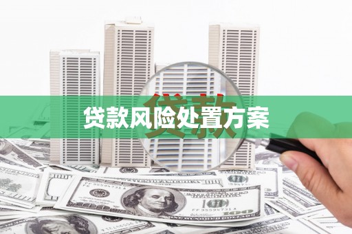 铁东贷款风险处置方案