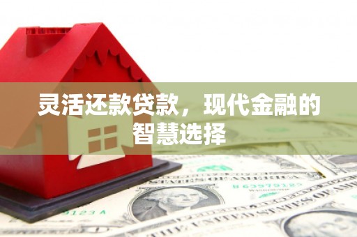 铁东灵活还款贷款，现代金融的智慧选择