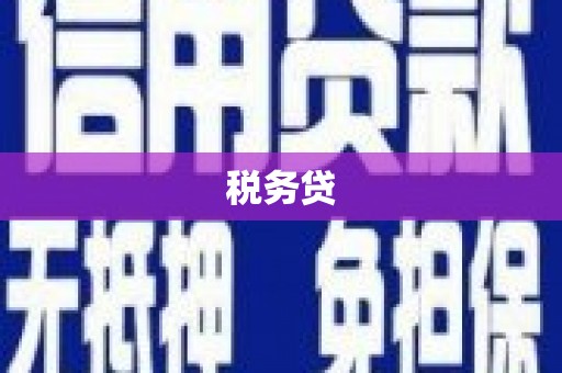 铁东税务贷