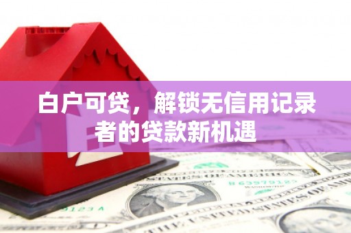 铁东白户可贷，解锁无信用记录者的贷款新机遇