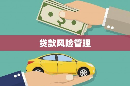 铁东贷款风险管理