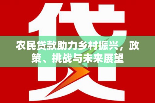 铁东农民贷款助力乡村振兴，政策、挑战与未来展望