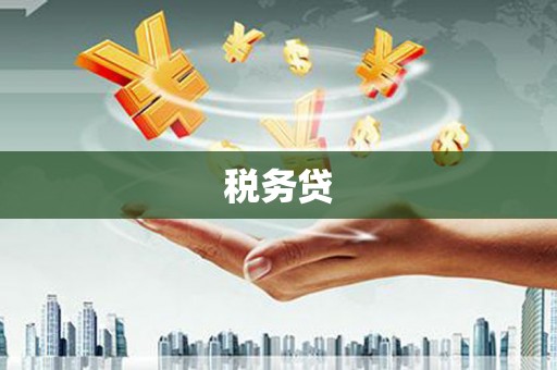 铁东税务贷