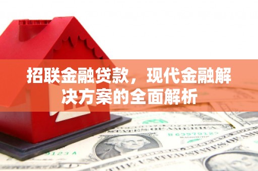 铁东招联金融贷款，现代金融解决方案的全面解析