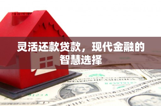 铁东灵活还款贷款，现代金融的智慧选择
