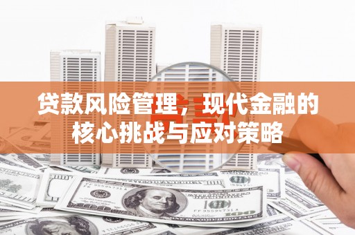 铁东贷款风险管理，现代金融的核心挑战与应对策略