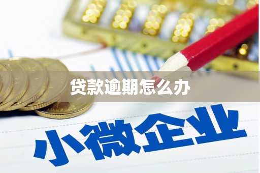 铁东贷款逾期怎么办