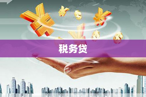 铁东税务贷