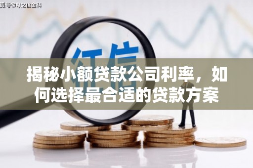 铁东揭秘小额贷款公司利率，如何选择最合适的贷款方案