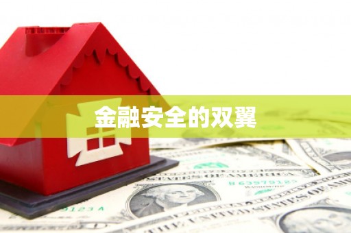 铁东金融安全的双翼