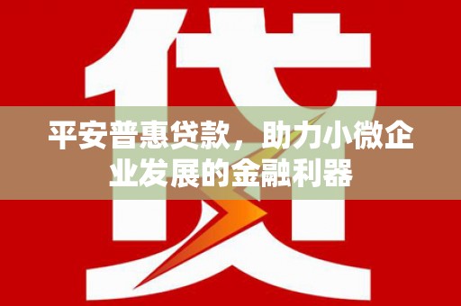 铁东平安普惠贷款，助力小微企业发展的金融利器