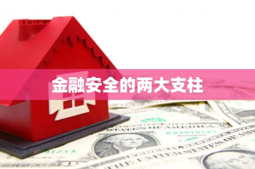 铁东金融安全的两大支柱