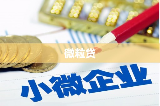 铁东微粒贷