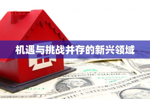 铁东机遇与挑战并存的新兴领域