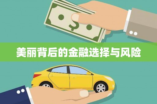 铁东美丽背后的金融选择与风险