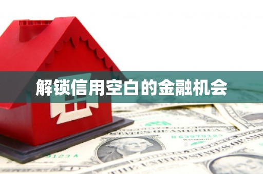 铁东解锁信用空白的金融机会