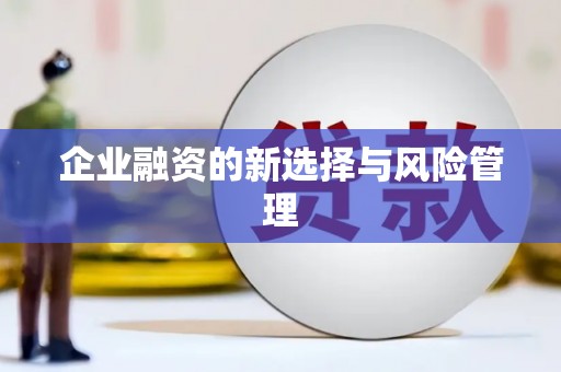 铁东企业融资的新选择与风险管理