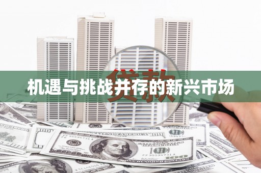 铁东机遇与挑战并存的新兴市场